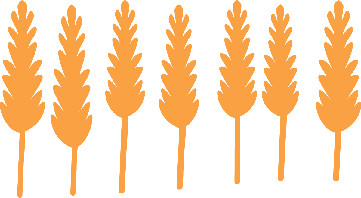 Wheat stalks.